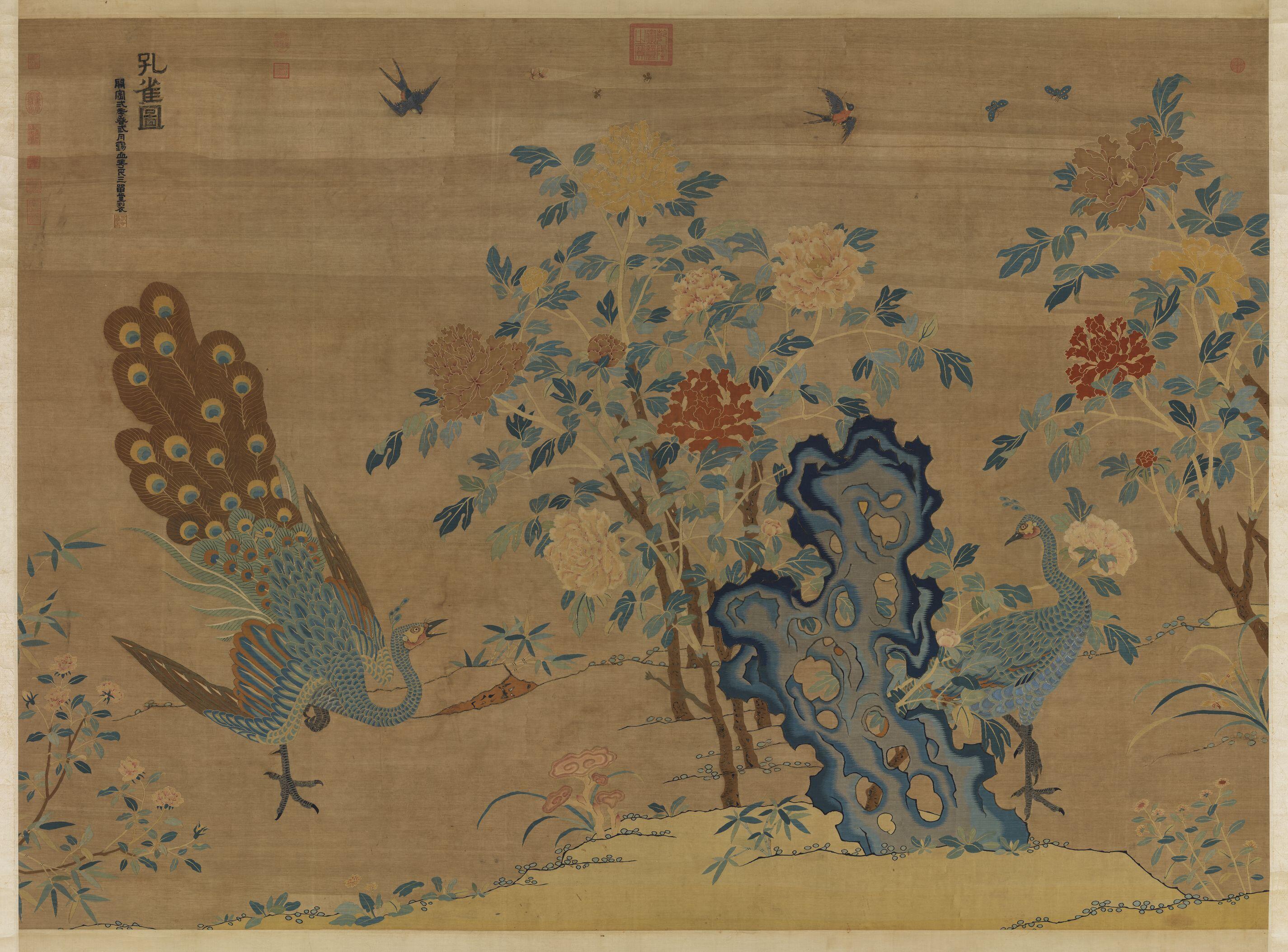 Behind the Plumage